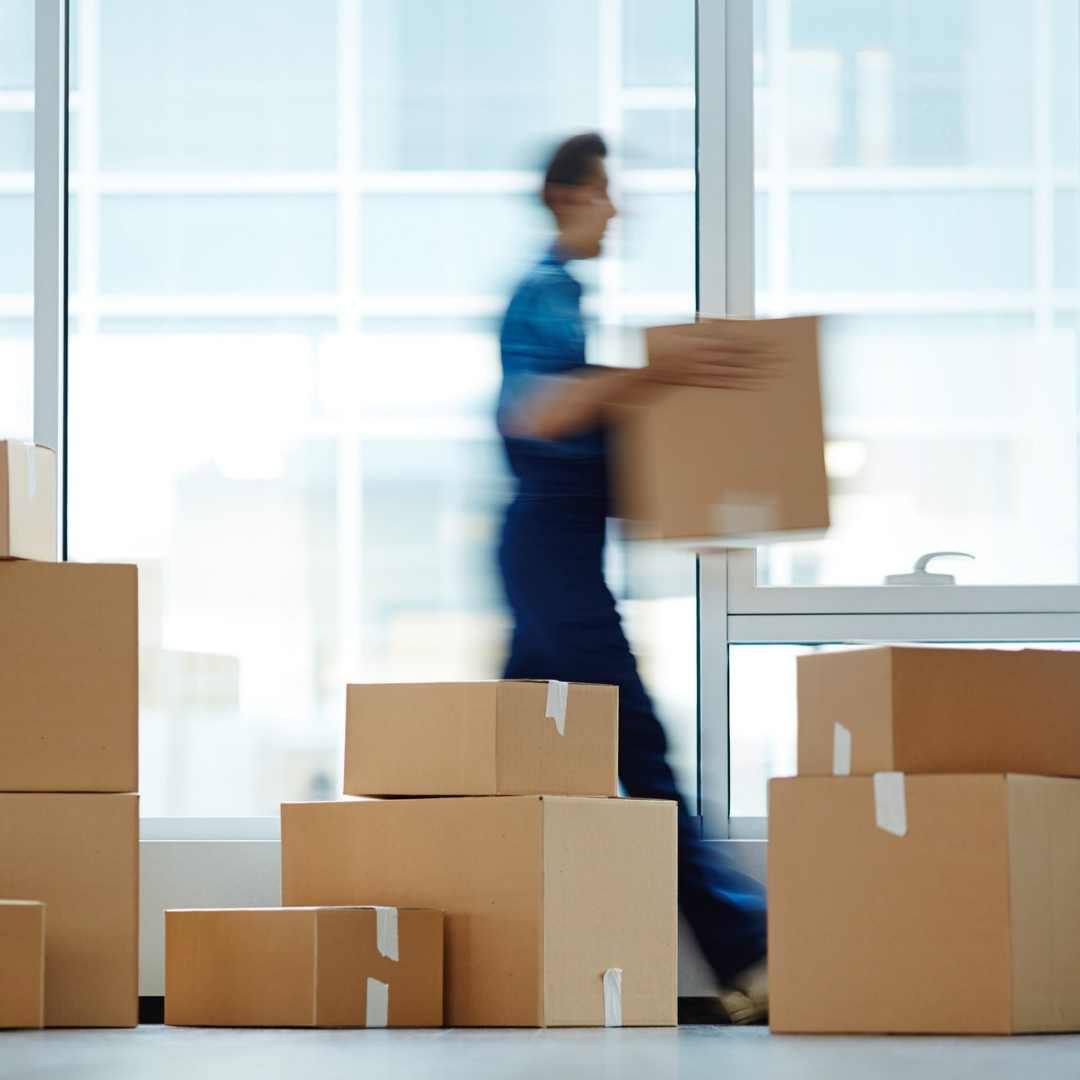logistica_3